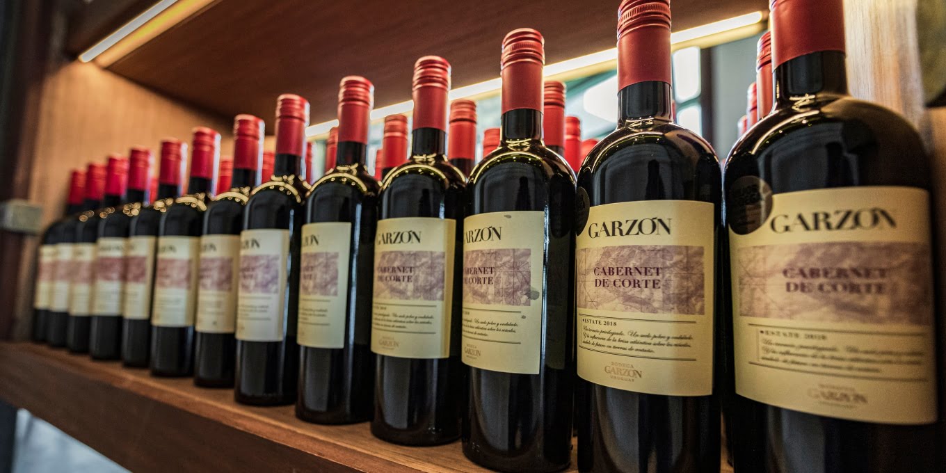 5 Reasons Why You Will Love  Garzon Wine If You don't Already