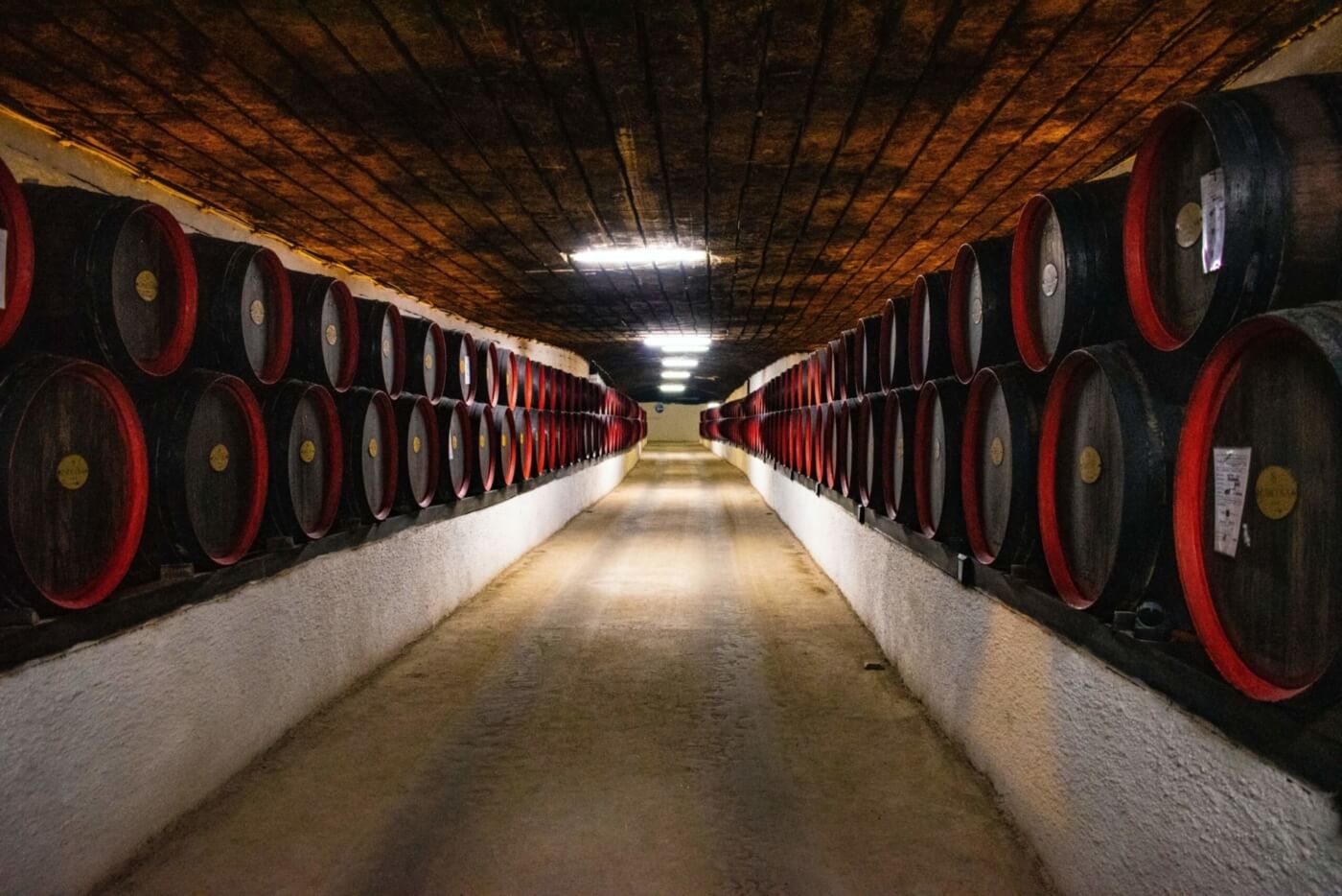 Your Guide to Ageing Wine: What Happens to Aged Wine?